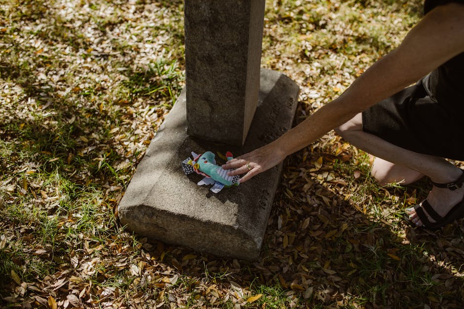 A person places a stuffed toy at a gravestone in a sunlit cemetery.