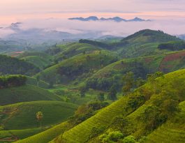 Best Places to Visit Europe in February for Skin Health and Aesthetic Inspiration 2025