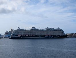 Cruise Ship Beauty Utopia 2025: Luxury Spa and Skincare Survival Guide