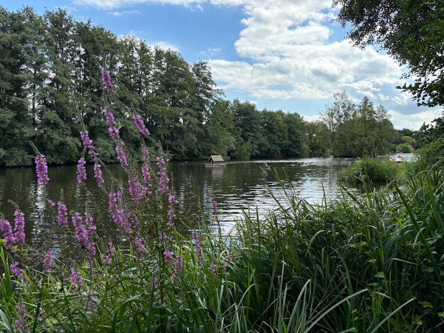 When to Visit China: Season-by-Season Breakdown for Every Trip Type