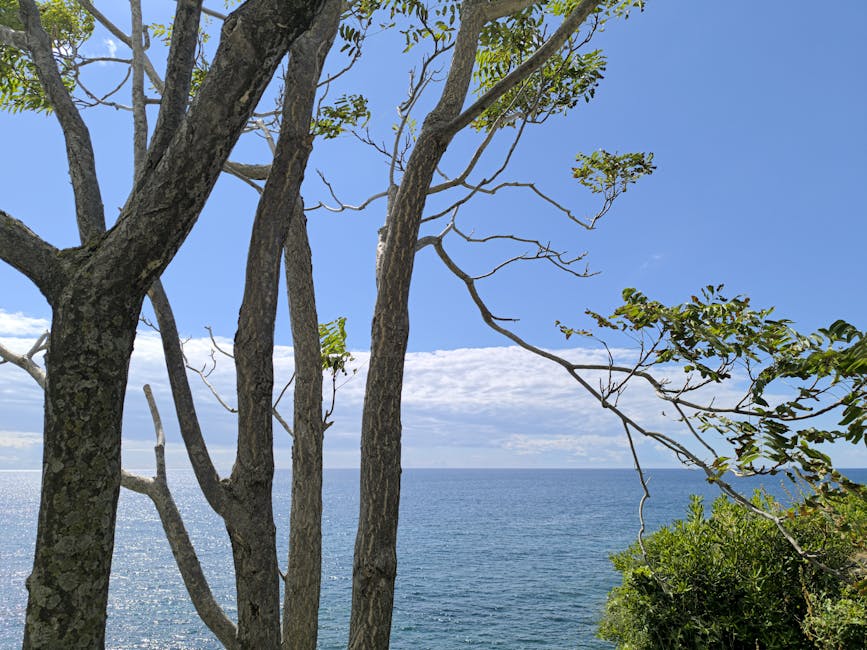 Best Honeymoon Destinations